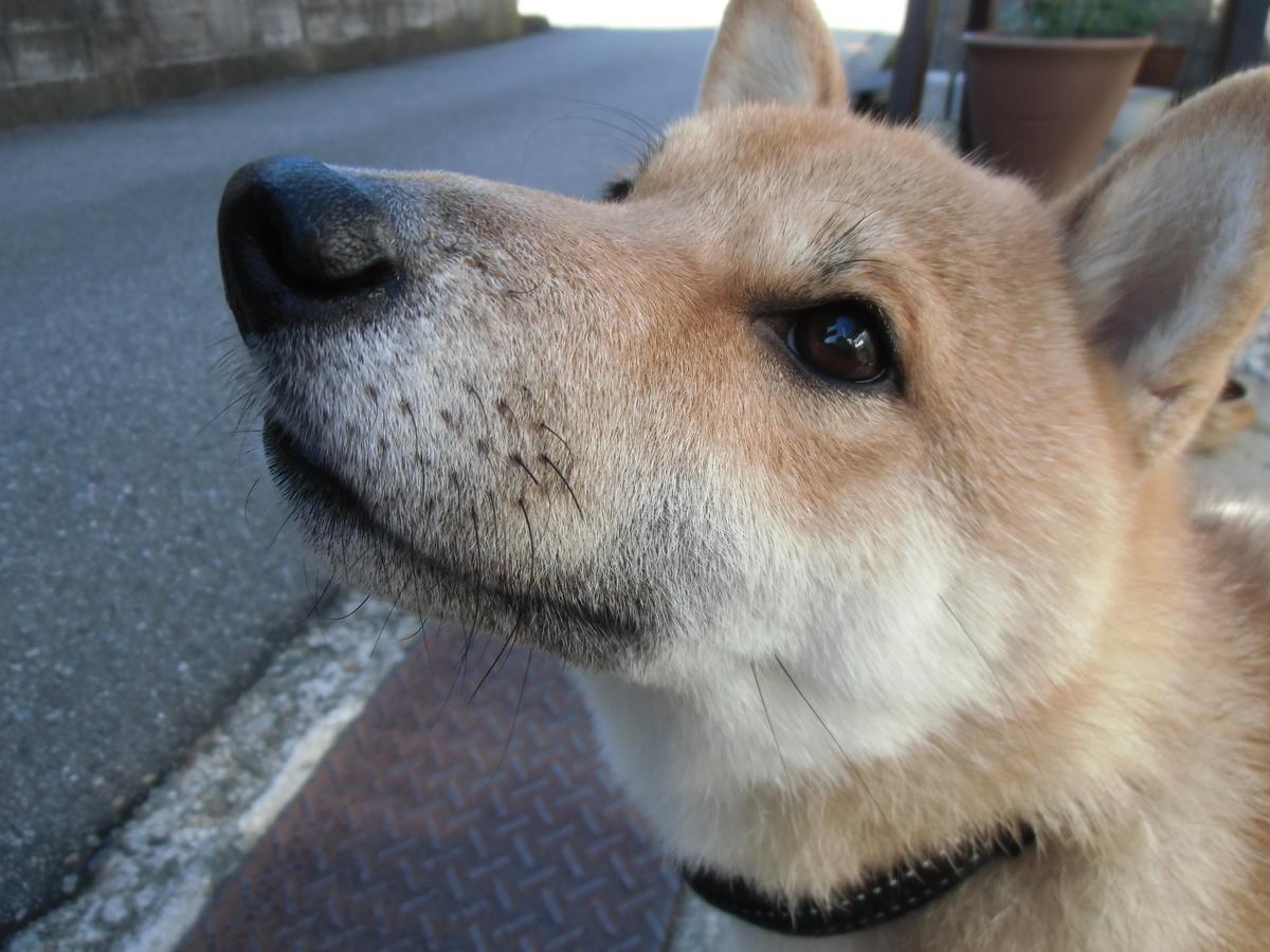 Kanazawa Share House Gaooo Luaran gambar