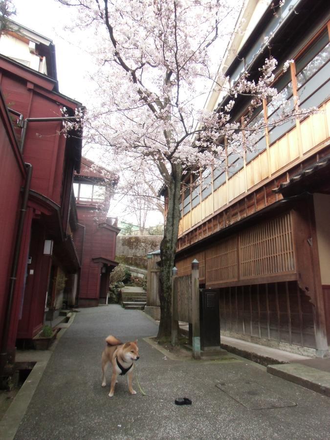 Kanazawa Share House Gaooo Luaran gambar