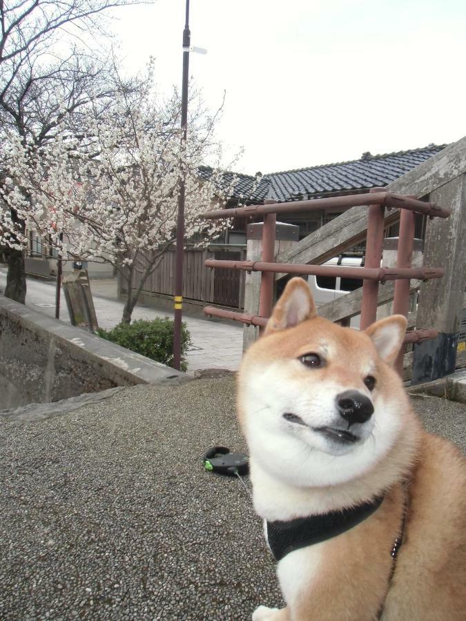Kanazawa Share House Gaooo Luaran gambar