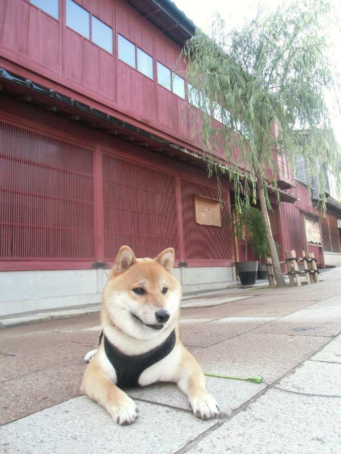 Kanazawa Share House Gaooo Luaran gambar
